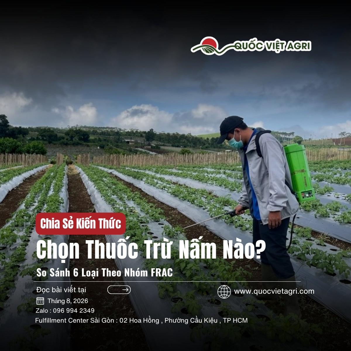Chọn thuốc trừ nấm theo nhóm FRAC - ảnh bìa bài viết QVA