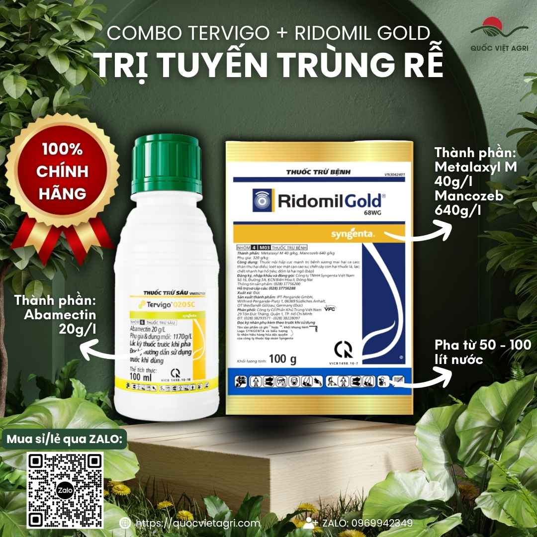 Combo Tervigo 020SC + Ridomil Gold — đặc trị tuyến trùng và thối rễ sầu riêng, hồ tiêu, cà phê