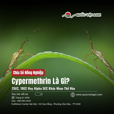 Cypermethrin Là Gì? 25EC, 10EC Hay Alpha 5EC Khác Nhau Thế Nào