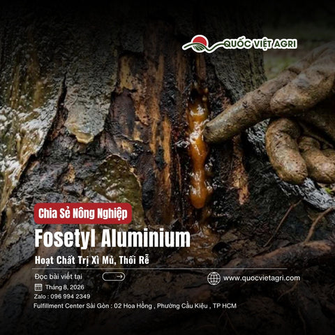 Fosetyl Aluminium Là Hoạt Chất Gì? Trị Bệnh Gì, Phun Lá Hay Tưới Gốc