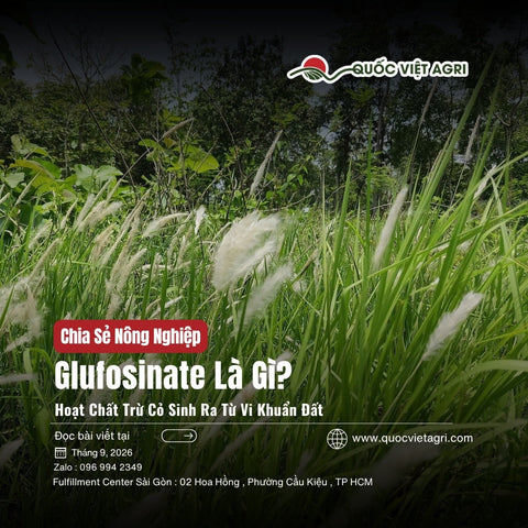 Glufosinate Là Gì? Hoạt Chất Trừ Cỏ Sinh Ra Từ Vi Khuẩn Đất