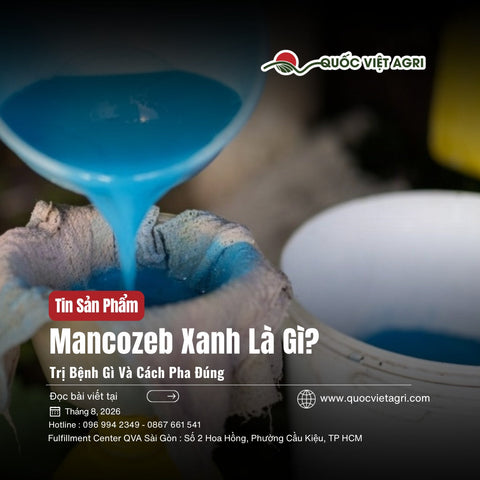 Mancozeb Xanh Là Thuốc Gì? Trị Bệnh Gì Và Có Pha Chung Được Không