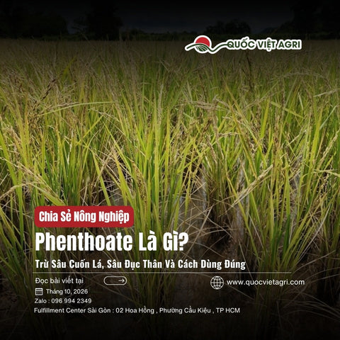 HOPSAN 75EC, ABASA 755EC, FORSAN 60EC, HORISAN: Phenthoate Trị Sâu Gì, Liều Dùng Và Cách Ly