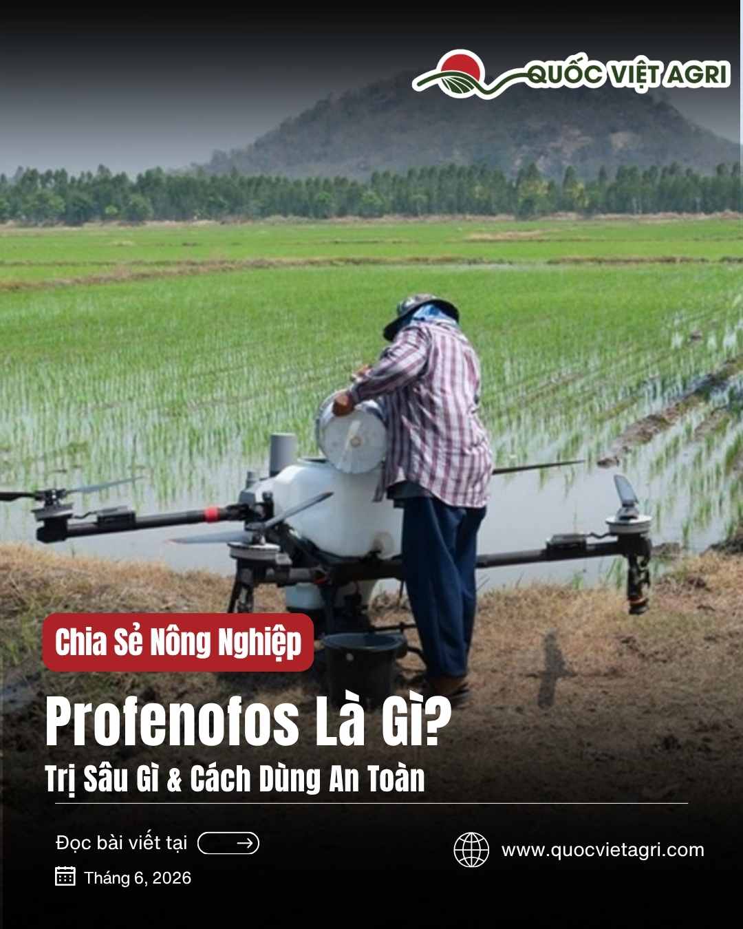 Profenofos là gì? Trị sâu gì & cách dùng an toàn | Quốc Việt Agri