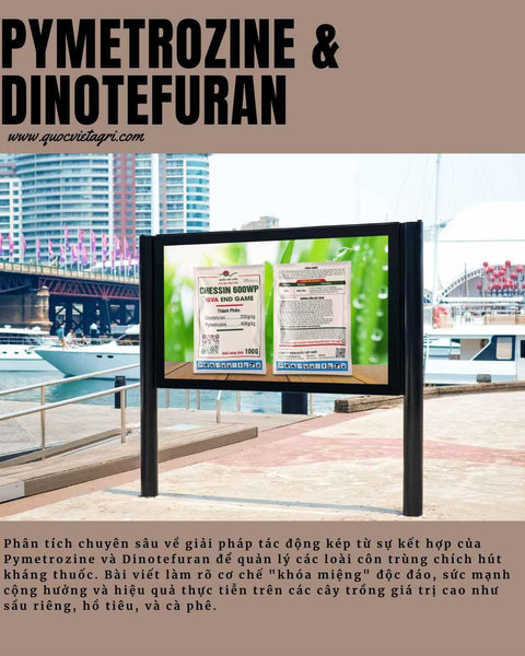 Pymetrozine & Dinotefuran: Phân Tích Giải Pháp Tác Động Kép Đặc Trị Rầy, Rệp Kháng Thuốc