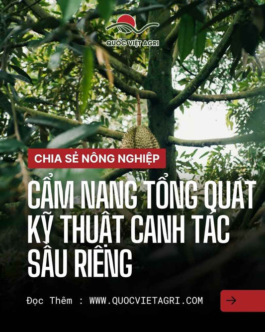 Cẩm nang kỹ thuật canh tác sầu riêng – Quốc Việt Agri