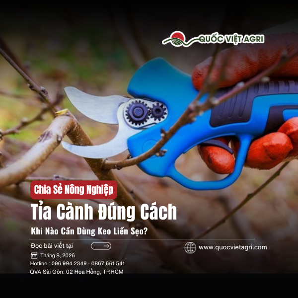 Cắt Cành Có Cần Bôi Keo Liền Sẹo? Khi Nào Nên Bôi, Khi Nào Không?