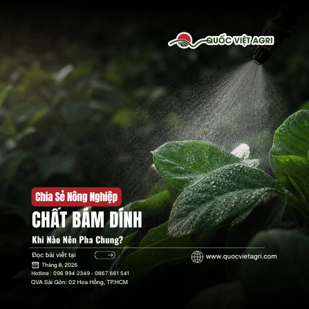 Ảnh bìa bài viết chất bám dính nông nghiệp: vòi phun tạo lớp sương mịn phủ đều trên bề mặt lá.