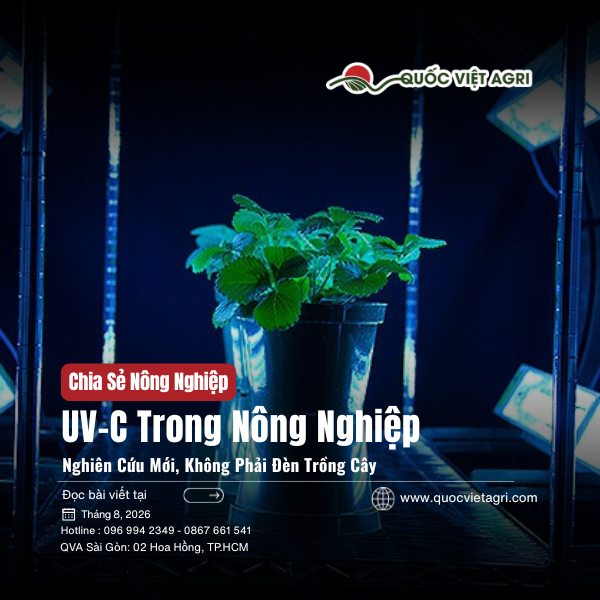 Ảnh bìa bài viết về công nghệ UV-C ban đêm trong nghiên cứu nông nghiệp của USDA ARS.