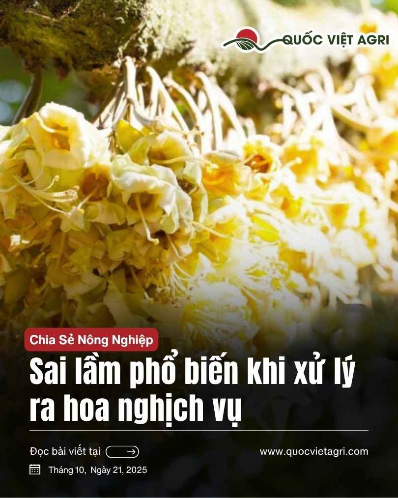 ảnh bìa với hoa sầu riêng làm ngịch vụ, bài viết về các sai lầm phổ biến khi làm hoa nghịch vụ