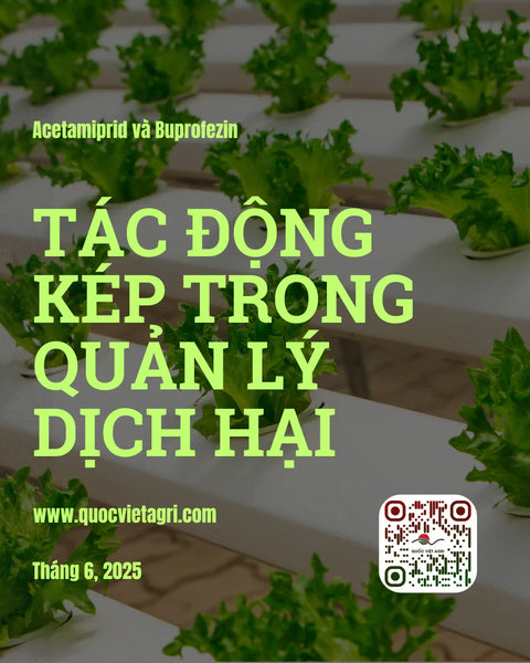 Quản Lý Tính Kháng và Hiệu Quả Bền Vững: Phân Tích Vai Trò Của Sự Kết Hợp Acetamiprid và Buprofezin