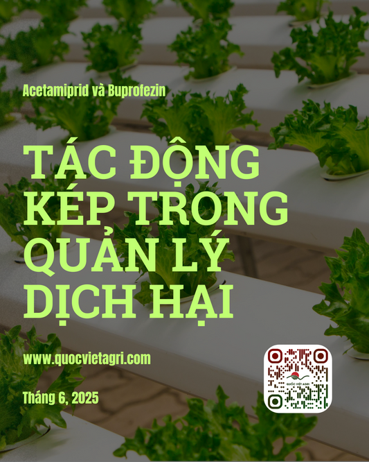 profile pic tac dong kep trong quan ly dich hai badang