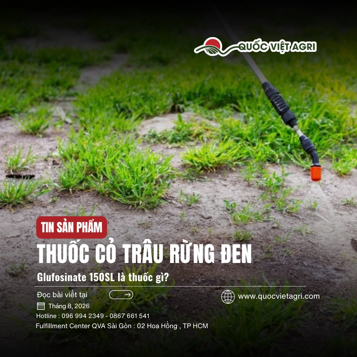 Thuốc cỏ Trâu Rừng Đen 150SL chứa hoạt chất Glufosinate, dùng cho đất khai hoang