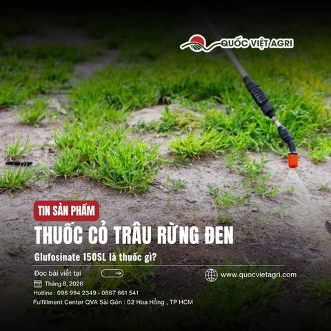 Thuốc Cỏ Trâu Rừng Đen Là Thuốc Gì? Glufosinate 150SL Diệt Cỏ Gì, Bao Lâu Chết