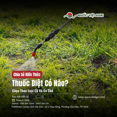 Thuốc Diệt Cỏ Nào Cho Vườn Nhà? Chọn Theo Loại Cỏ Và Cơ Chế