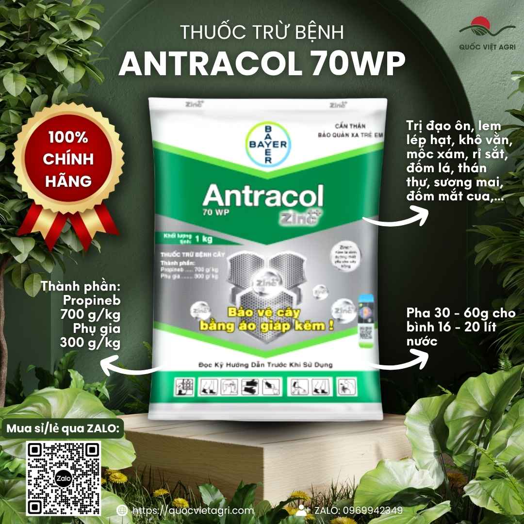 Thuốc trừ bệnh Antracol 70WP (Propineb 700g/kg) của Bayer — áo giáp kẽm phòng nấm bệnh