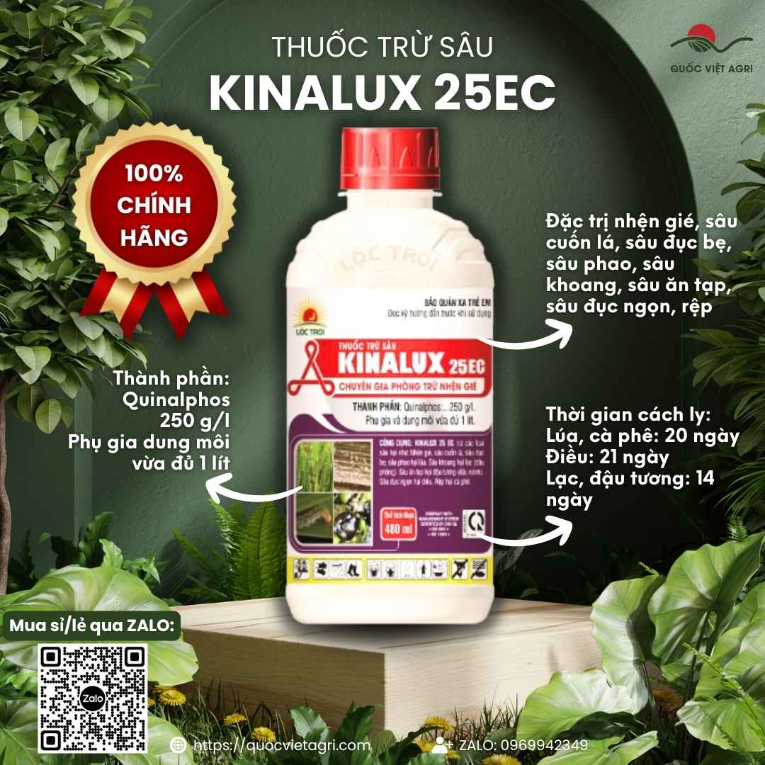Thuốc trừ sâu Kinalux 25EC (Quinalphos 250g/L) đặc trị nhện gié, sâu cuốn lá