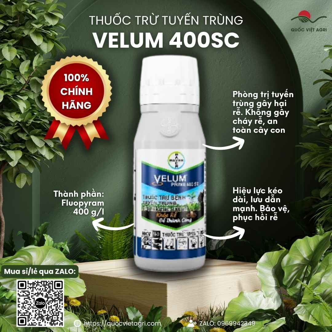 Mặt trước chai thuốc trừ tuyến trùng Velum Prime 400SC 100ml chính hãng Bayer.