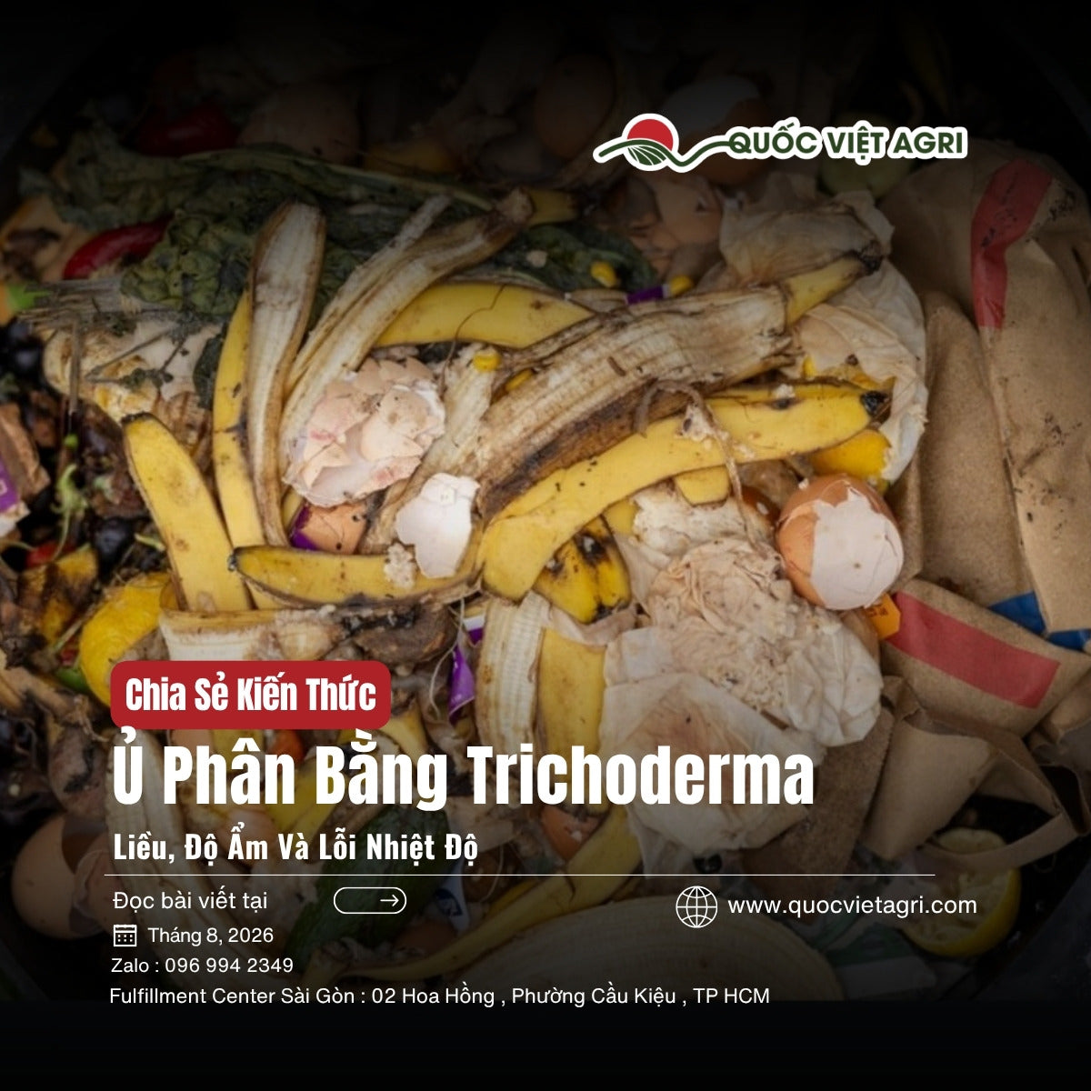 Ủ phân bằng Trichoderma - ảnh bìa bài viết QVA