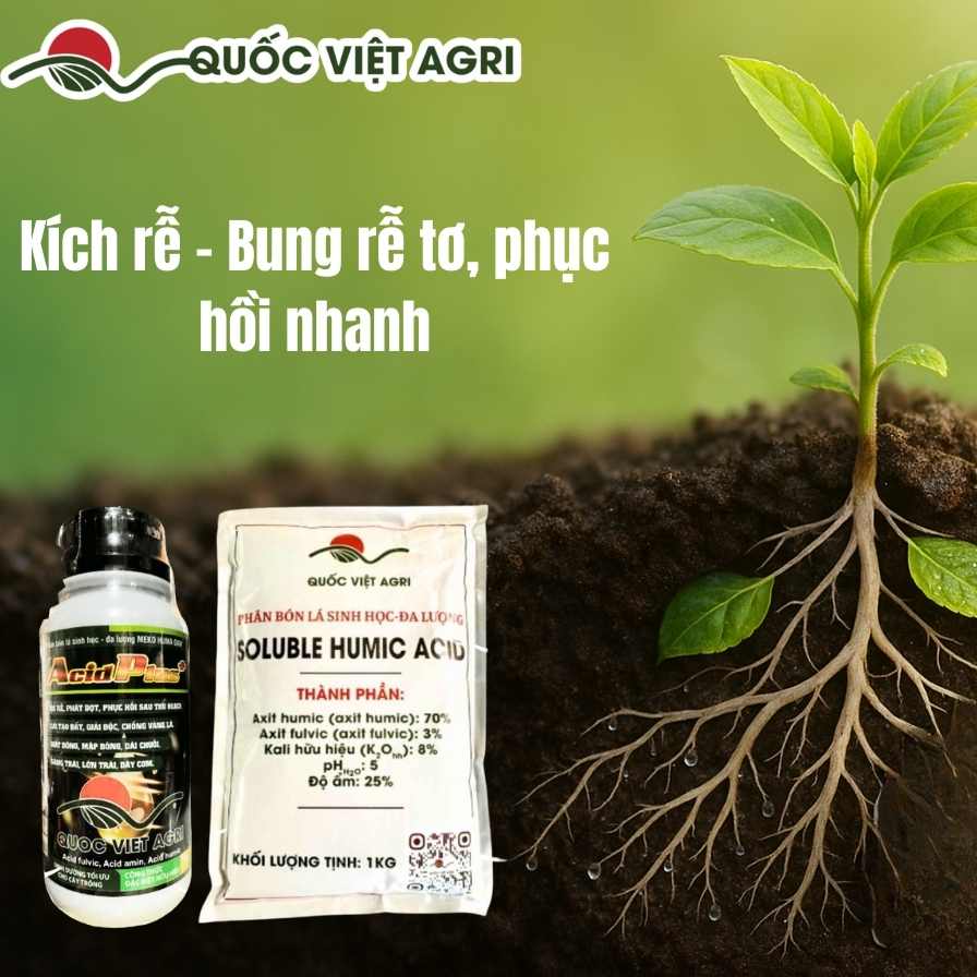 Hero kích rễ – rễ tơ trắng và lá non, chai/gói sản phẩm bên phải khung hình