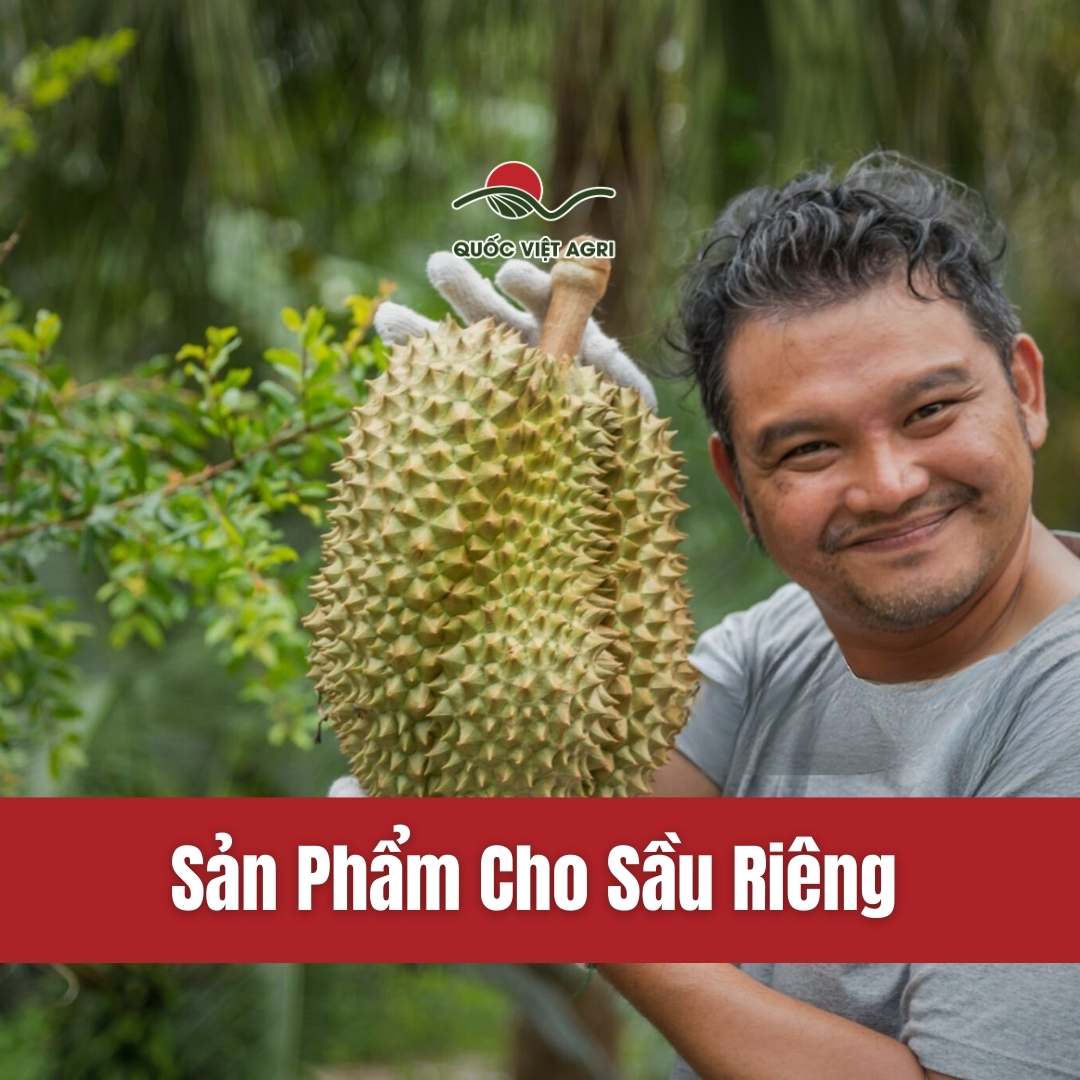 ảnh bìa cho collection về các sản phẩm dành cho cây sầu riêng của quốc việt agri