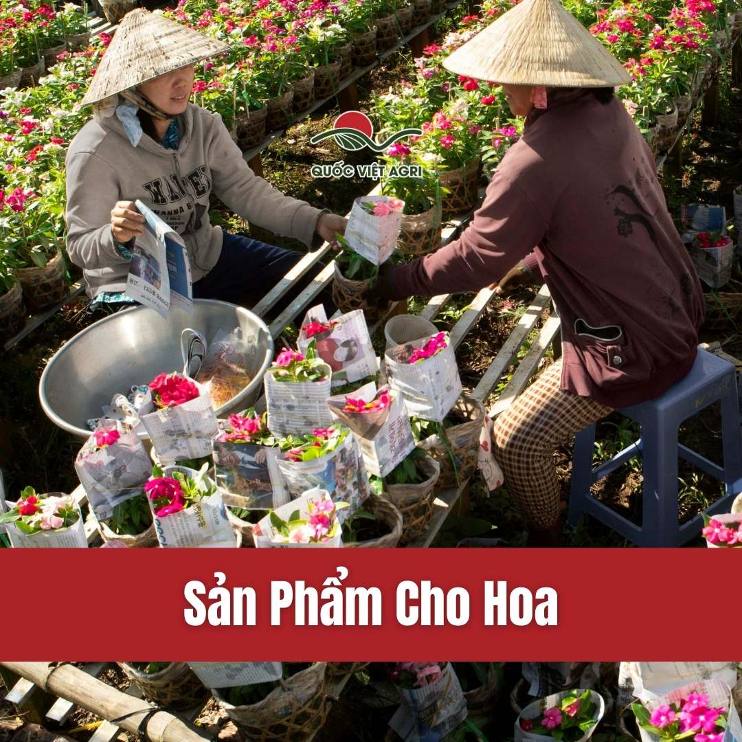 ảnh bìa các sản phẩm dành cho hoa của quốc việt agri