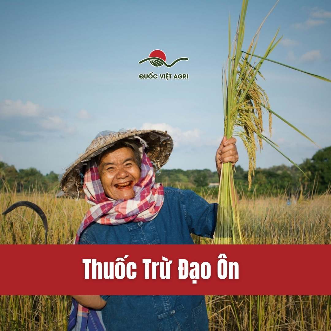 Hình Ảnh cho bộ sản phẩm thuốc trừ đạo ôn của Quốc Việt Agri