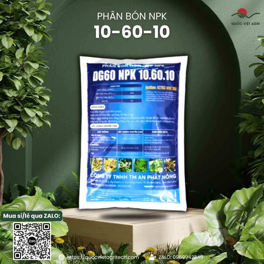 Mặt sau gói Phân Bón Siêu Tạo Mầm 10-60-10 1kg với thông tin thành phần Lân cao, Axit Amin và hướng dẫn tạo mầm sầu riêng, xoài.