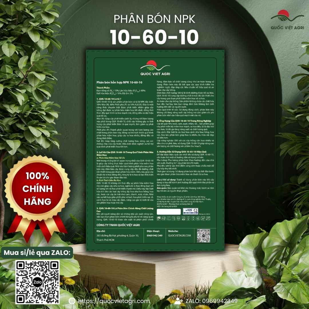 Mặt sau gói phân bón lá Siêu Tạo Mầm 10-60-10 1kg với thông tin thành phần NPK 10-60-10 và hướng dẫn sử dụng chi tiết.