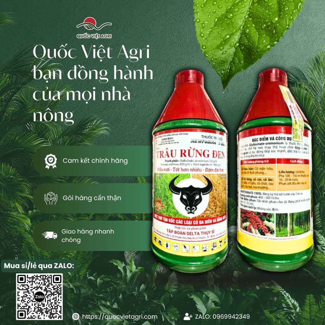 Hình ảnh tổng quan sản phẩm thuốc trừ cỏ Trâu Rừng Đen 150SL, giải pháp diệt cỏ lưu dẫn tận gốc cho đất khai hoang từ Quốc Việt Agri.
