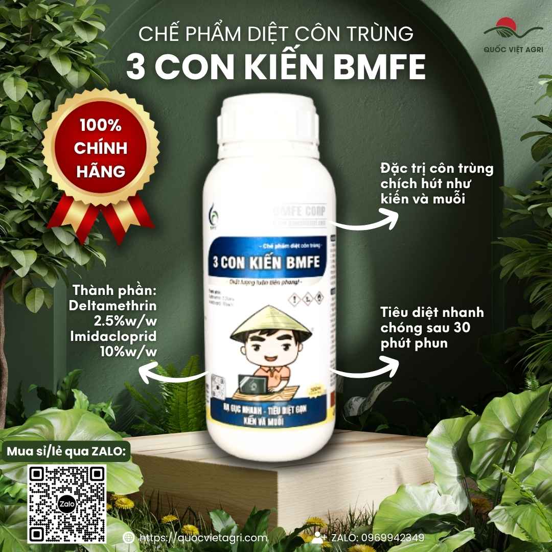 Mặt trước chai Chế phẩm diệt côn trùng 3 CON KIẾN 500ml chính hãng BMFE.