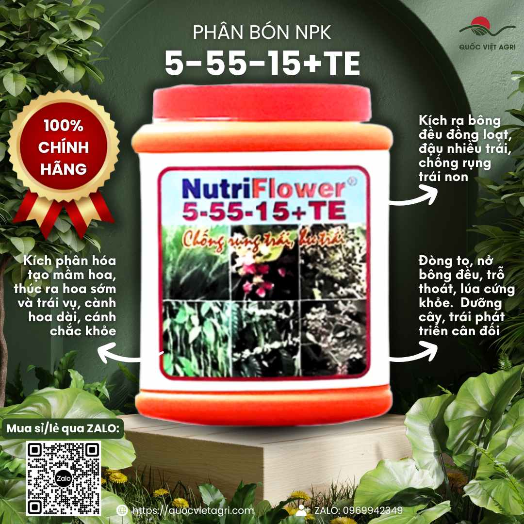 Hủ phân bón NutriFlower 5-55-15+TE 500g, với thiết kế bao bì chuyên nghiệp, làm nổi bật công dụng tạo mầm hoa.