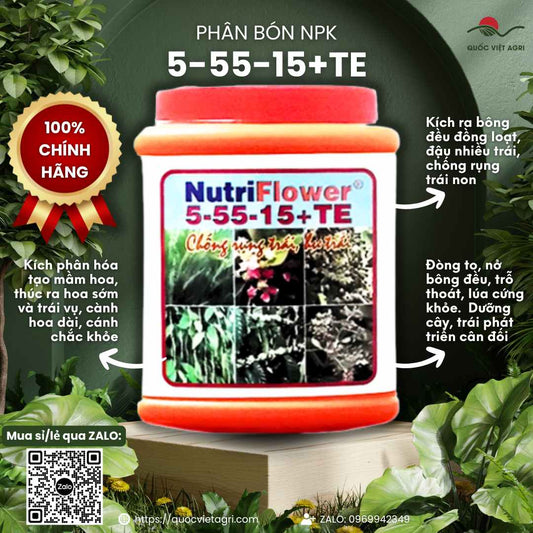 Hủ phân bón NutriFlower 5-55-15+TE 500g, với thiết kế bao bì chuyên nghiệp, làm nổi bật công dụng tạo mầm hoa.