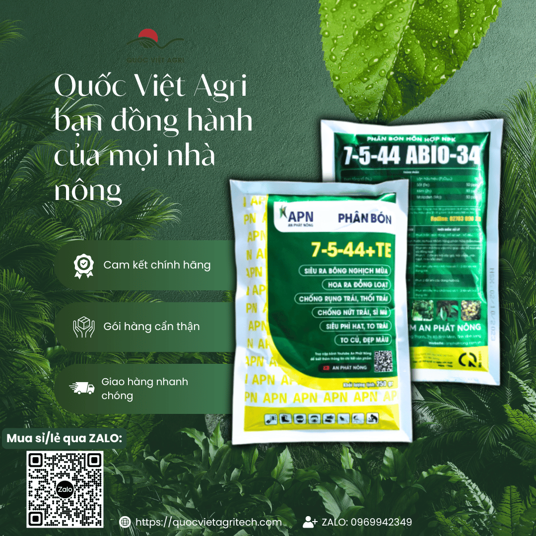 Gói phân NPK 7-5-44+TE (trước & sau)