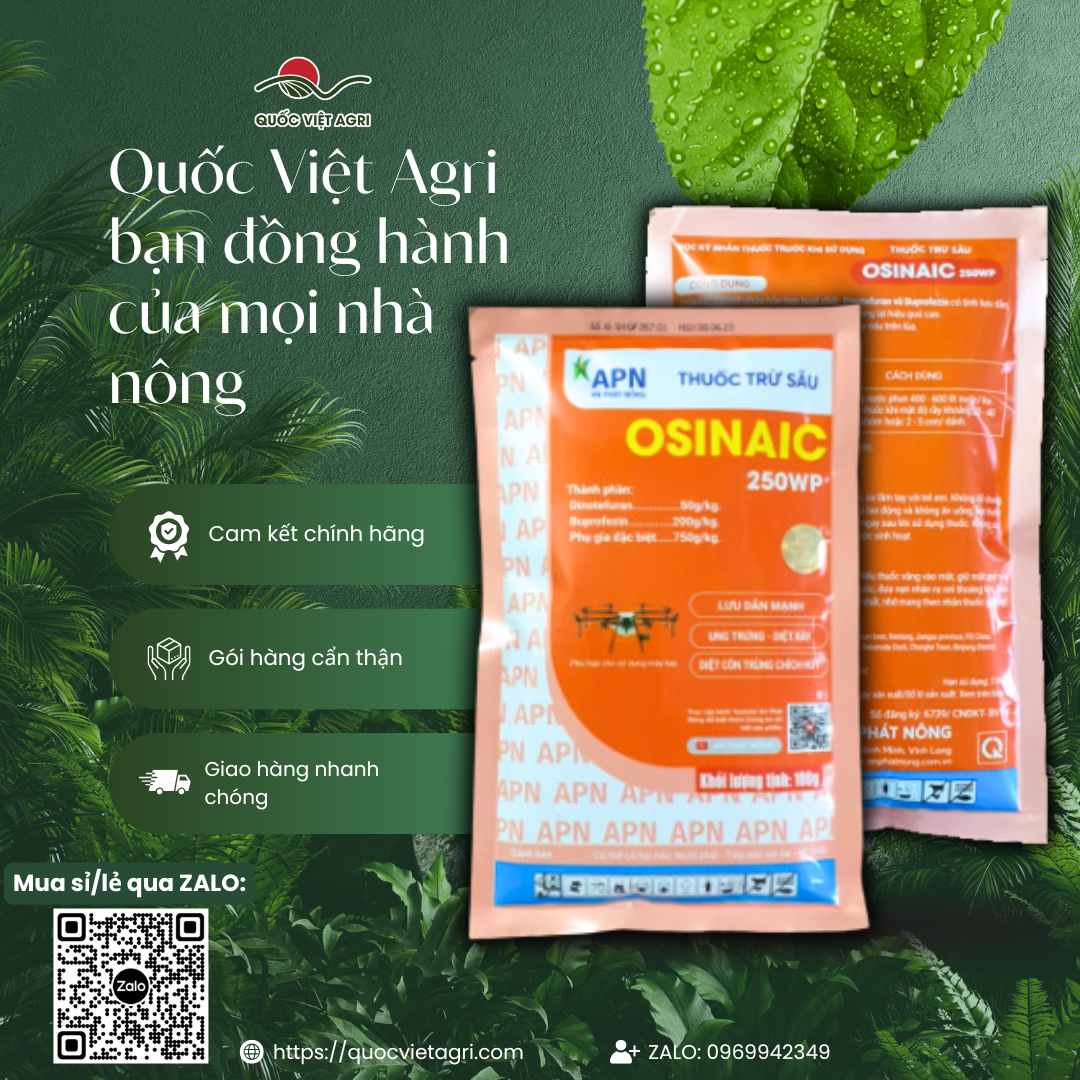 Hình ảnh tổng quan sản phẩm thuốc trừ sâu Osinaic 250WP 100g, giải pháp đặc trị rầy kháng thuốc cho lúa, cà phê từ Quốc Việt Agri.