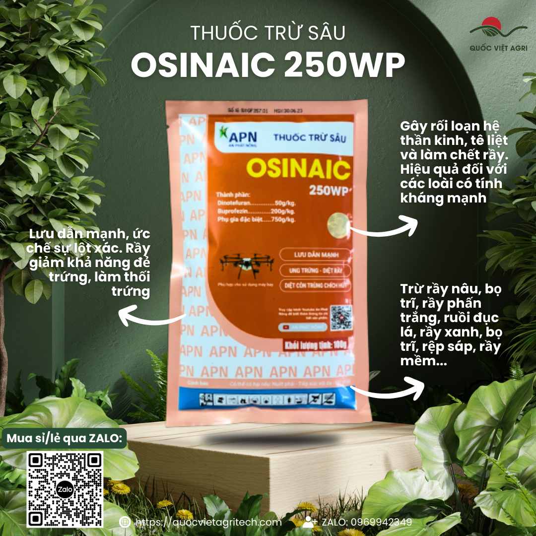 Mặt trước gói thuốc trừ sâu Osinaic 250WP 100g, chuyên dùng để đặc trị rầy nâu, rệp sáp, sản phẩm chính hãng của An Phát Nông.