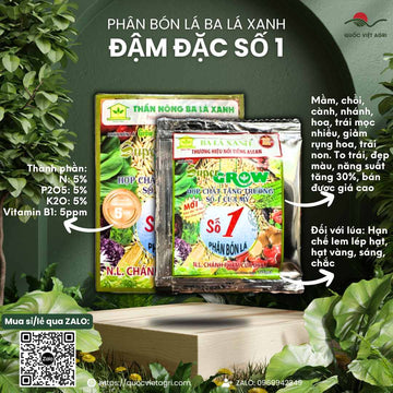 Phân Bón Lá BA LÁ XANH SỐ 1 (Gói 10ml) - Siêu Phục Hồi Cây, Bung Đọt