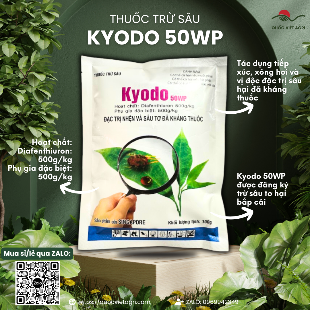 Mặt trước gói thuốc trừ sâu nhện KYODO 50WP 100g, nhãn hiệu rõ ràng, sản phẩm Singapore, phân phối bởi Quốc Việt Agri.