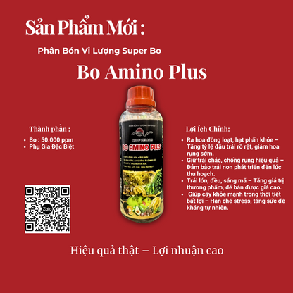 Mặt trước sản phẩm BO AMINO PLUS 500ml, nhãn sản phẩm rõ ràng.