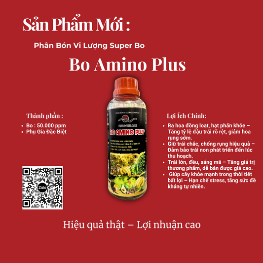 Mặt trước sản phẩm BO AMINO PLUS 500ml, nhãn sản phẩm rõ ràng.