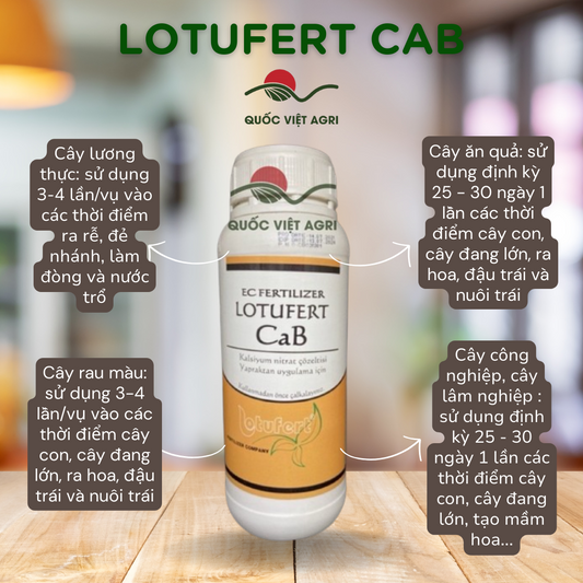 Chai phân bón lá Canxi Bo Lotufert CaB dung tích 1 Lít, nhãn mác rõ ràng.