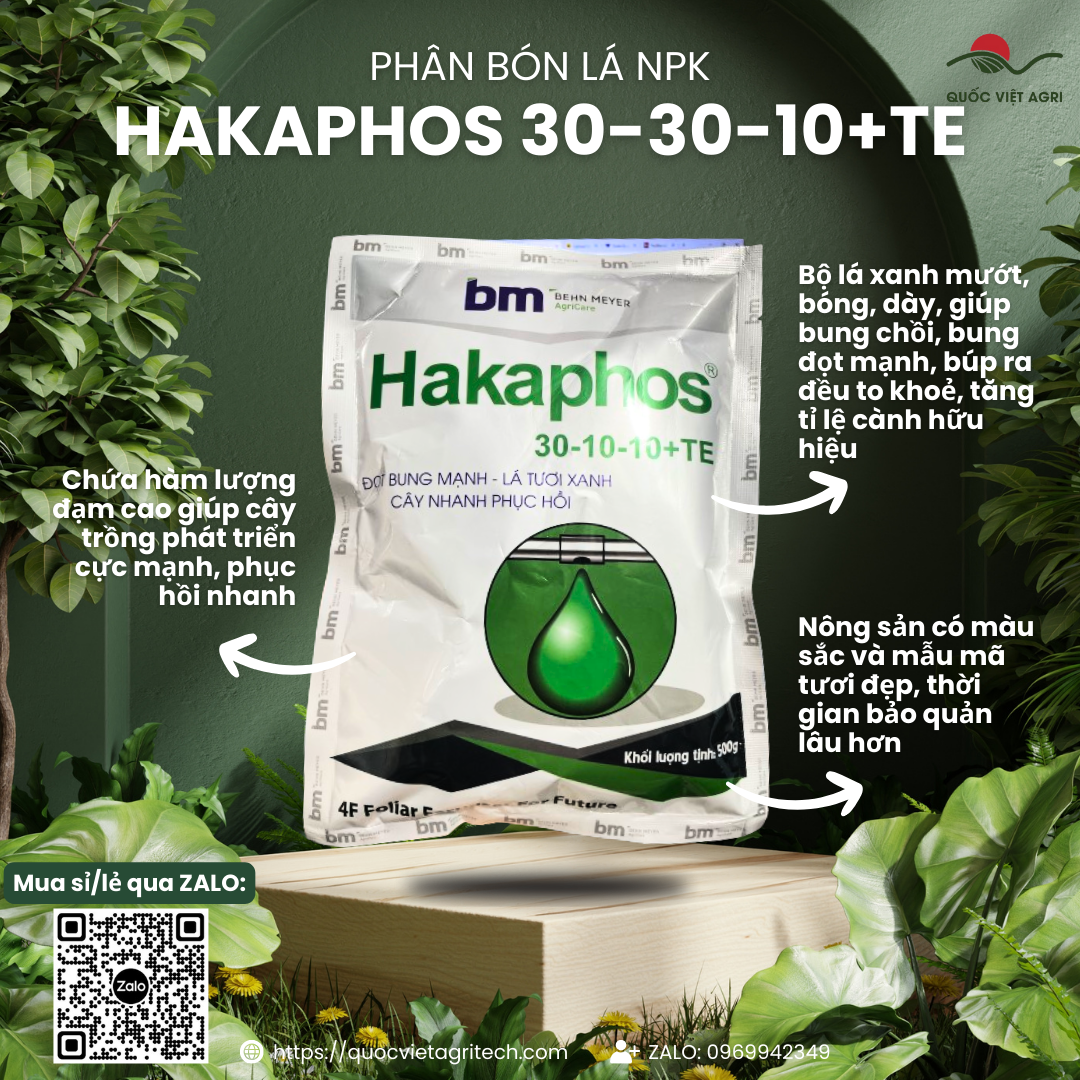 Mặt trước gói phân bón lá HAKAPHOS 30-10-10+TE 500g, nhãn hiệu rõ ràng, sản phẩm của Behn Meyer được phân phối bởi Quốc Việt Agri.