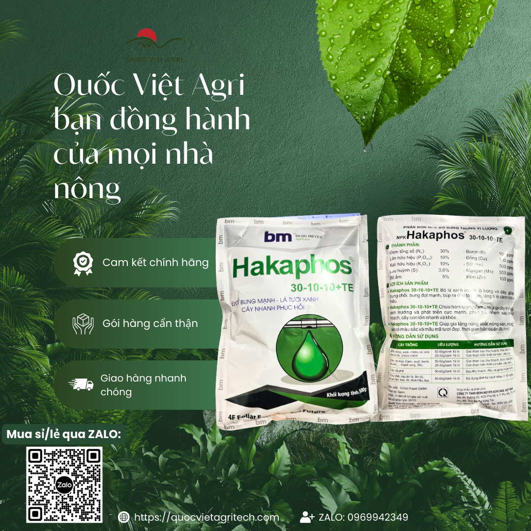 Hình ảnh hai mặt (trước và sau) của gói phân bón lá HAKAPHOS 30-10-10+TE 500g, đầy đủ nhãn mác và thông tin chi tiết sản phẩm.