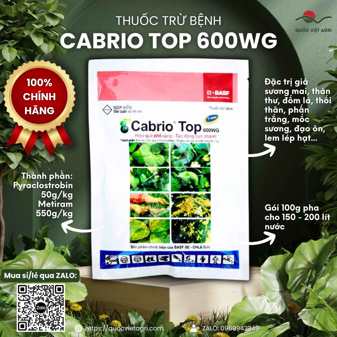 Cabrio Top 600WG 100g chứa Metiram và Pyraclostrobin – hình ảnh sản phẩm