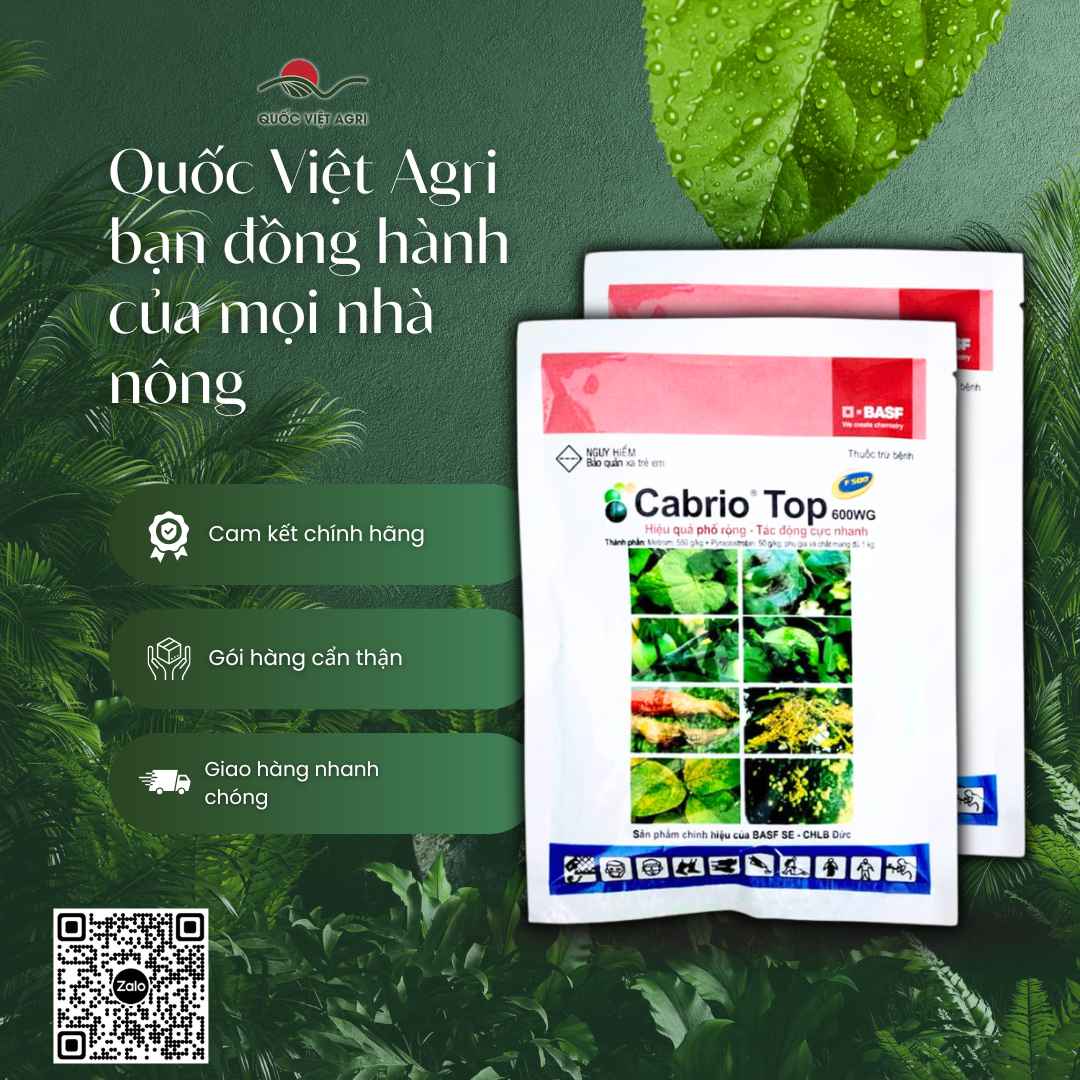 Cabrio Top 600WG 100g – thông tin trên nhãn sản phẩm
