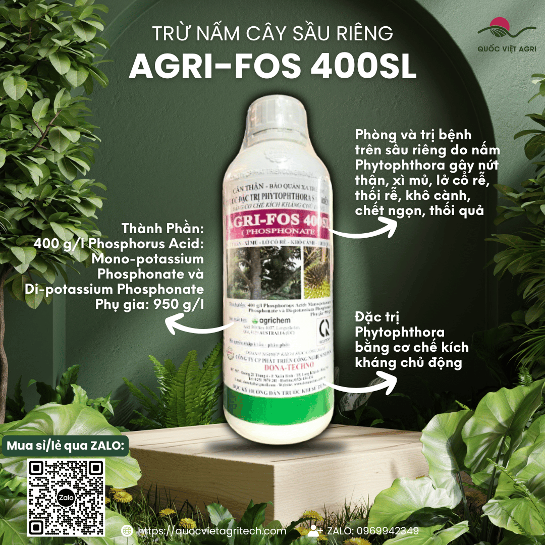 Thuốc Trừ Bệnh AGRIFOS 400 (Chai 1 Lít) - Đặc Trị Xì Mủ Sầu Riêng (Phytophthora) - Quốc Việt Agri
