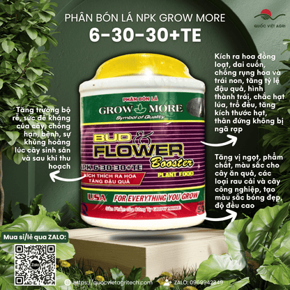 Hộp phân bón Growmore 6-30-30+TE 500g, với thiết kế bao bì đặc trưng, chuyên nghiệp.