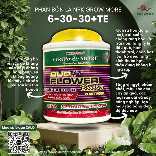 Hộp phân bón Growmore 6-30-30+TE 500g, với thiết kế bao bì đặc trưng, chuyên nghiệp.