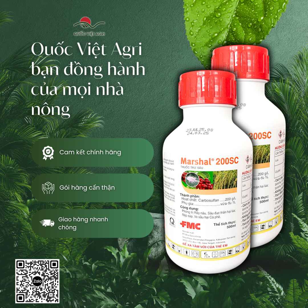 Marshal 200SC 500ml – thông tin trên nhãn sản phẩm