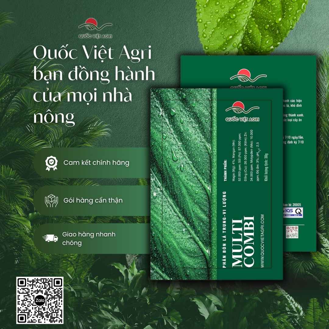 Phân Bón Vi Lượng COMBI PLUS (30g) | Trị Vàng Lá, Xoăn Đọt